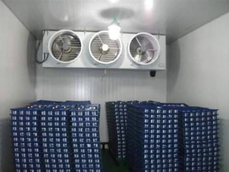 液压平板升降速冻库